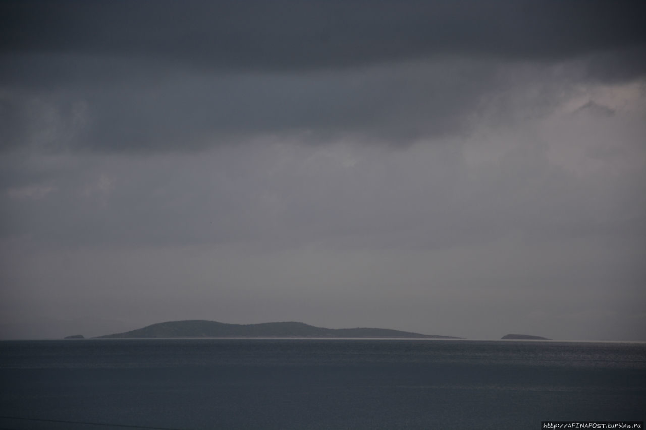 Все оттенки серого