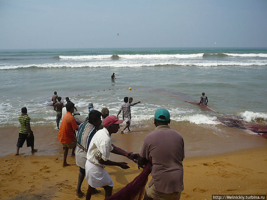 Рыбная ловля на берегу океана Ваддува, Шри-Ланка