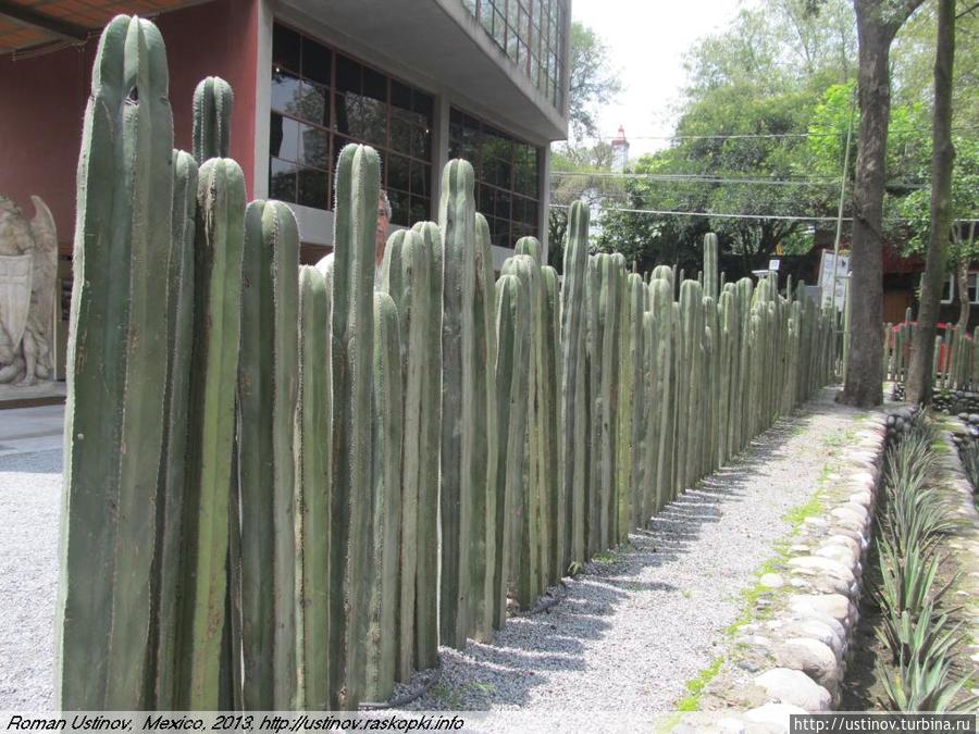 Два музея Фриды Кало в Мехико-сити Мехико, Мексика