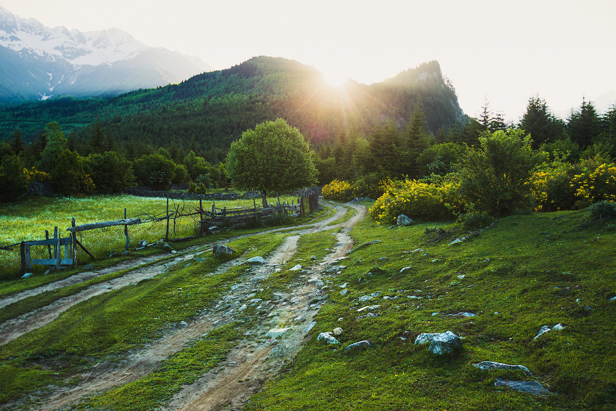 Красивое деревце.. со всех сторон его перефотографировал..