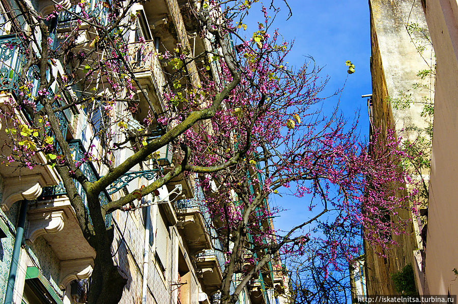 Весна... Лиссабон, Португалия