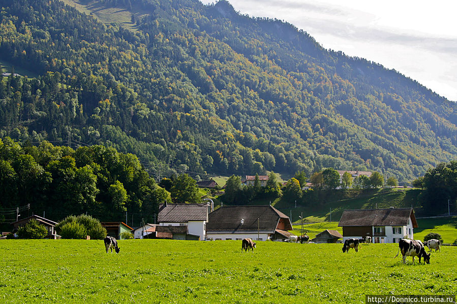 а на улице отличный день, столики для пикника на ближайшей лужайке Брок, Швейцария