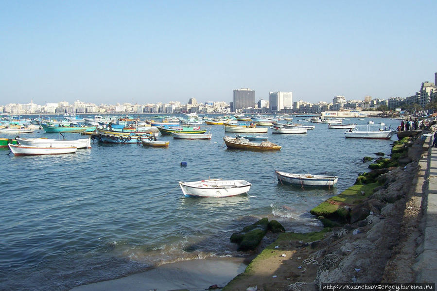Марина Александрия, Египет
