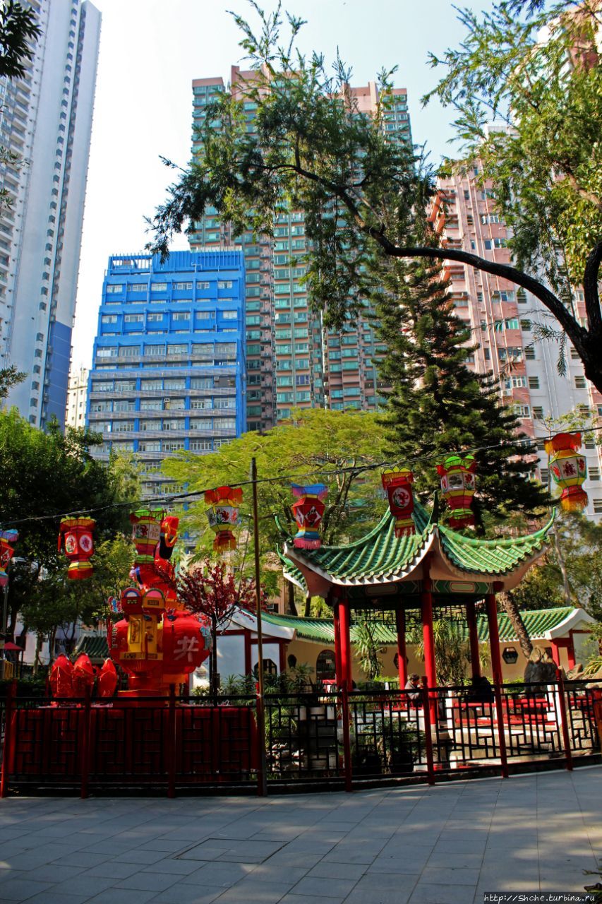 Когда в Гонконге все спокойно. Уютный парк среди небоскребов