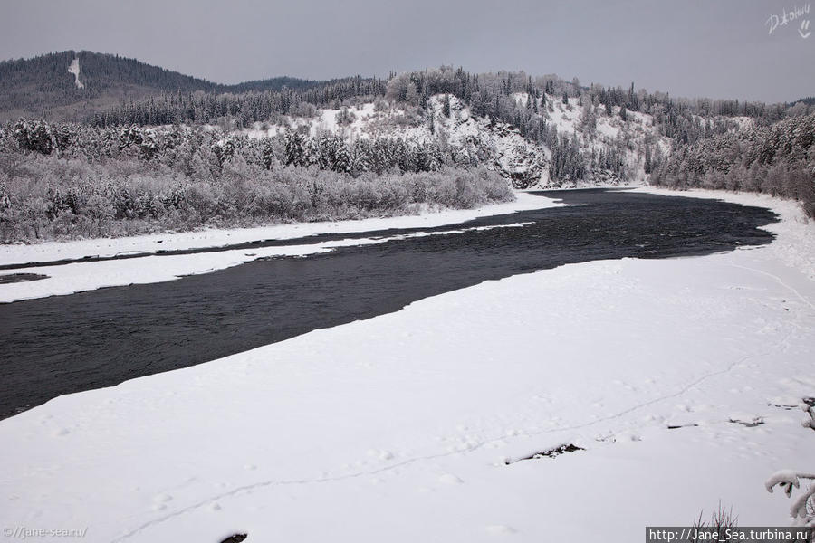 Река Бия Телецкое озеро, Россия