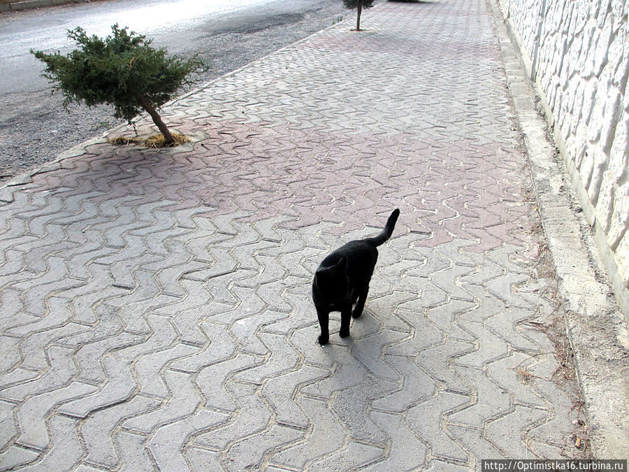 Дидим в конце октября Дидим, Турция