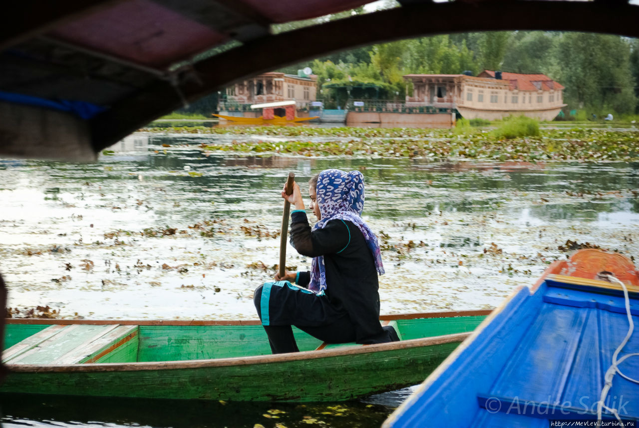 Радуга завета Шринагар, Индия