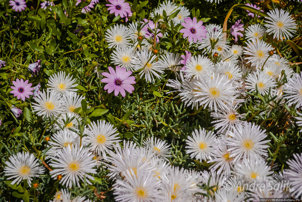 В мае на юге Барселона, Испания