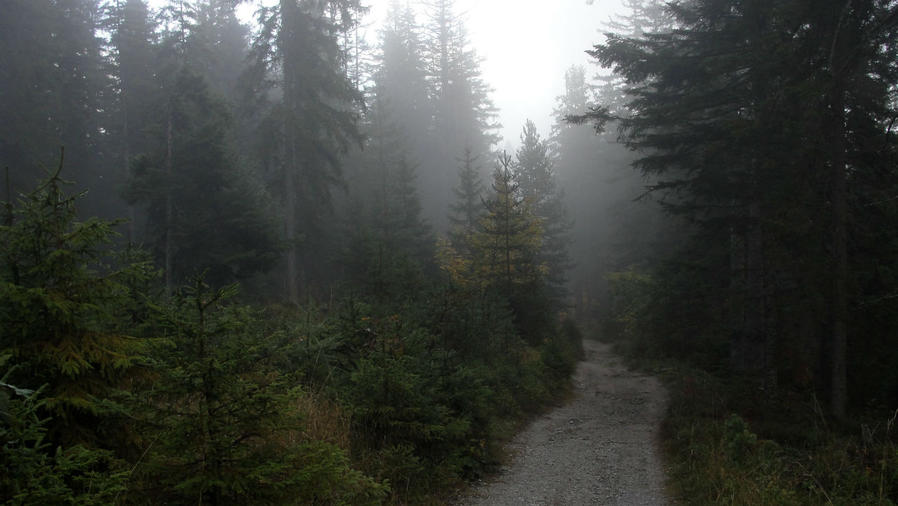 Нюхаю запах тумана Рамзау-ам-Дахштайн, Австрия