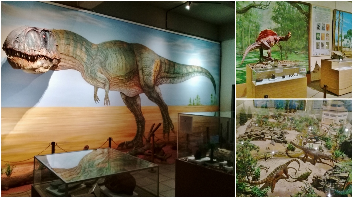 Центр исследований по палеонтологии и археологии Сан-Луис, Бразилия