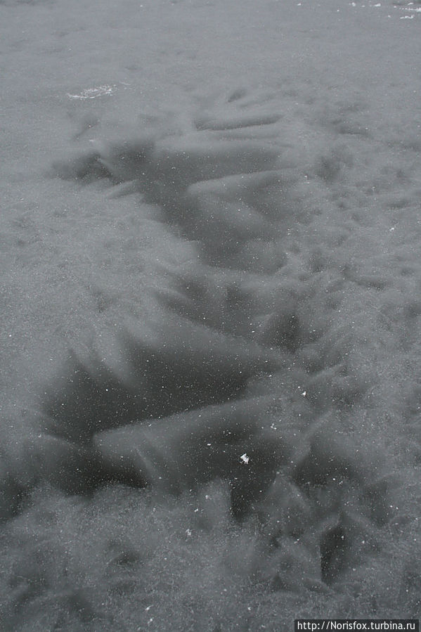 По Балтийскому катку Юрмала, Латвия