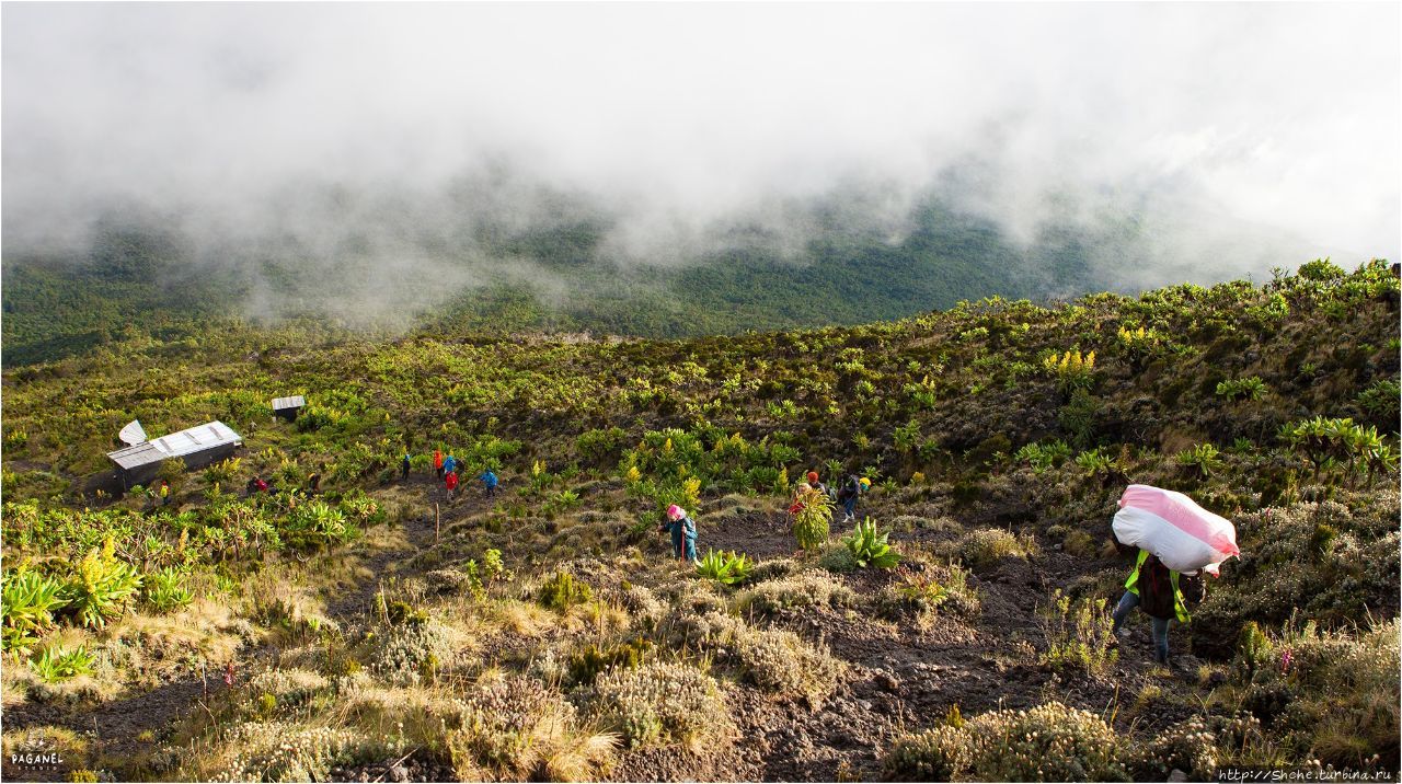 Восхождение на вулкан Ньирагонго глазами экспедишн-лидера Вирунга Национальный Парк, ДР Конго