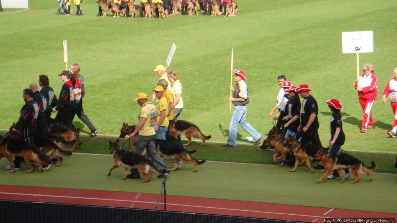 Чемпионат мира по немецкой овчарке Зигер-2010 в Нюрнберге Нюрнберг, Германия