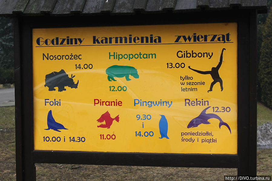 В зоопарке можно понаблюдать за кормлением зверей, представлено расписание Варшава, Польша