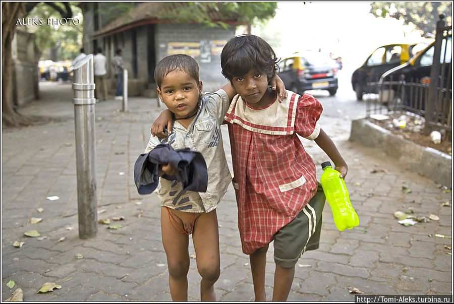 Местные кот Базилио и лиса Алиса. Сейчас настреляют деньжат и пойдут покупать что-нибудь сладкое...
*