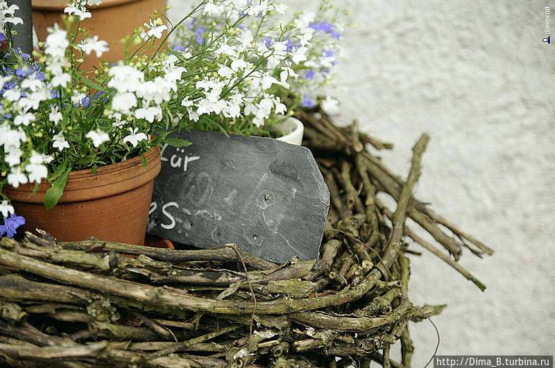 Антураж со свадьбы в Германии Германия