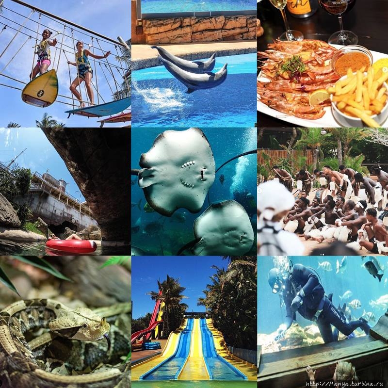 Из интернета Из интернета