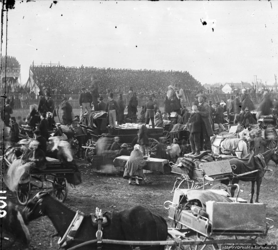 На скачках, 1868 год. Ирландия