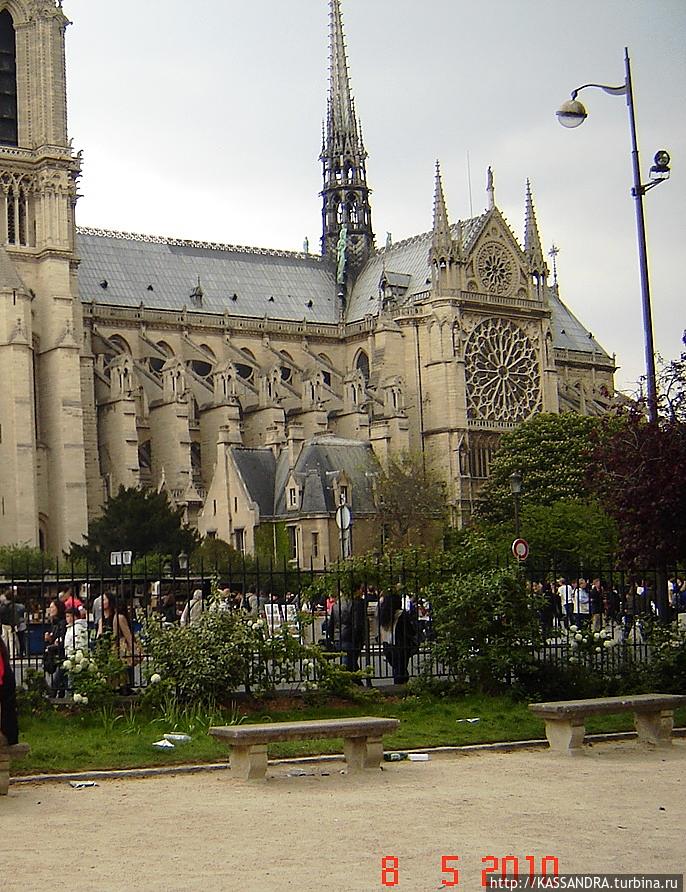 Любимый сквер Рене Вивиани Париж, Франция
