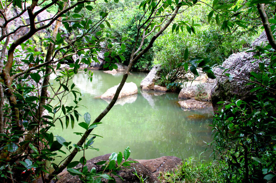 Семикаскадная прогулка по Маврикию Сет-Каскад, Маврикий