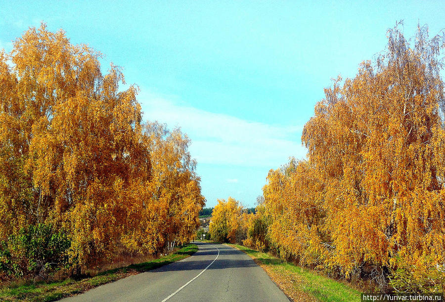 Дорога к домику в деревне Киев, Украина