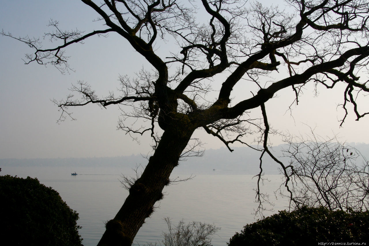 Женева — свежая струя весны на берегу озера Леман Женева, Швейцария
