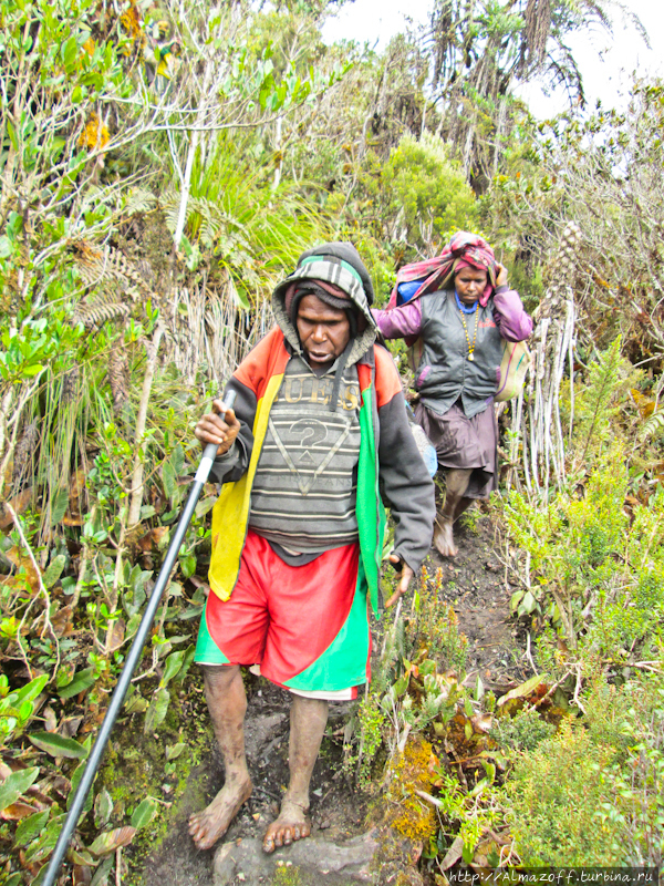 Папуасский дневник, часть №6. Открытая рана по пояс в грязи. Сугапа, Индонезия