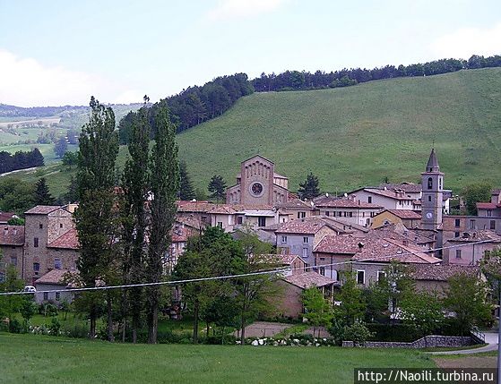 Вид на город с холма. Фото из интернет. Пеллегрино Парменсе, Италия