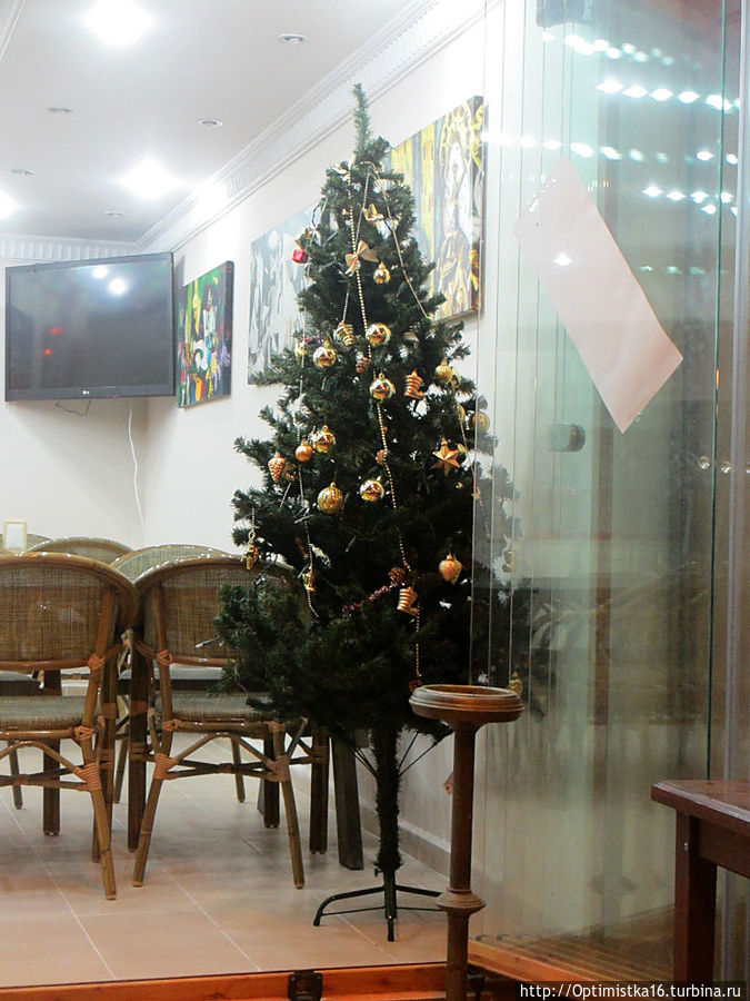 Наш турецкий Новый Год Дидим, Турция