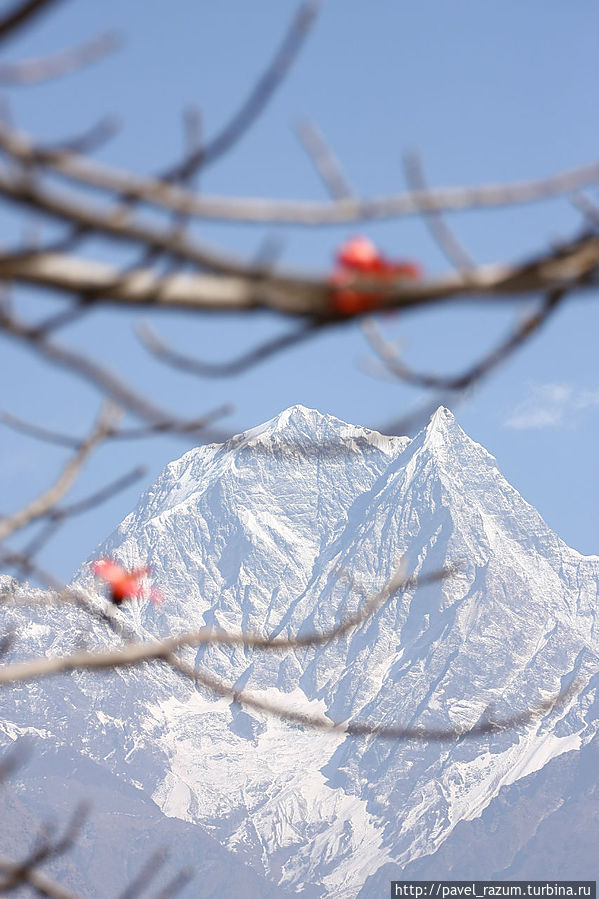 Волшебство Гималаев