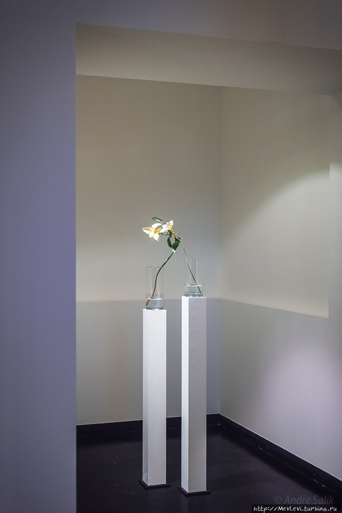 Поход в Музей современного искусства Милан, Италия