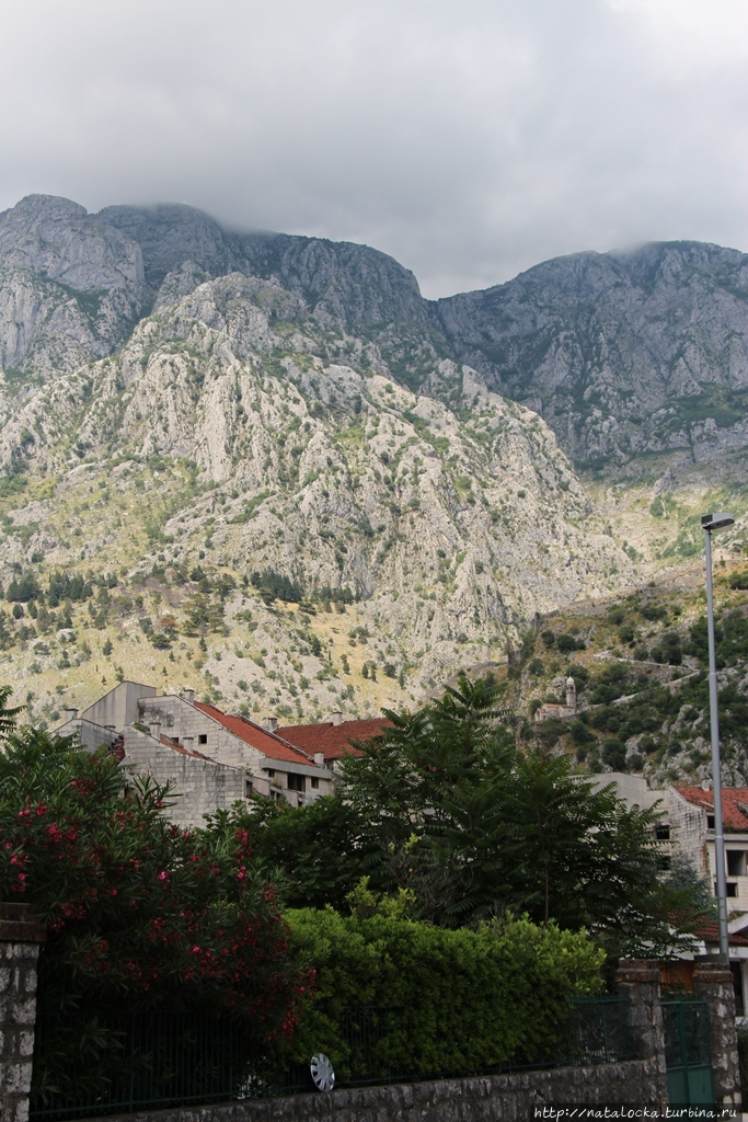 Котор — черногорское сокровище. Котор, Черногория