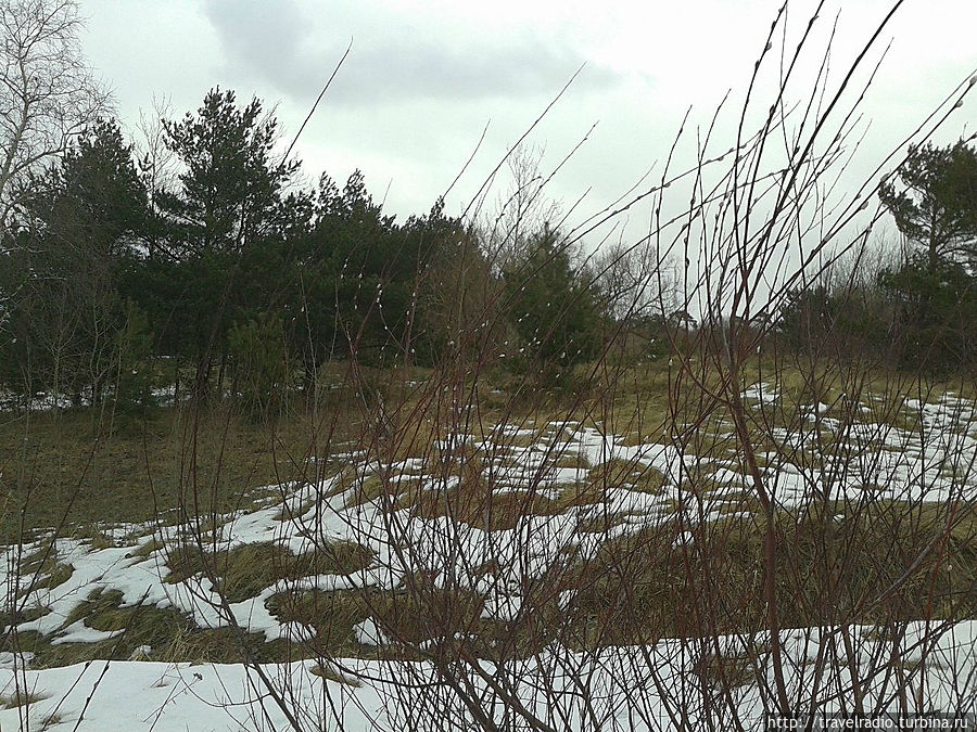 Весна где-то рядом