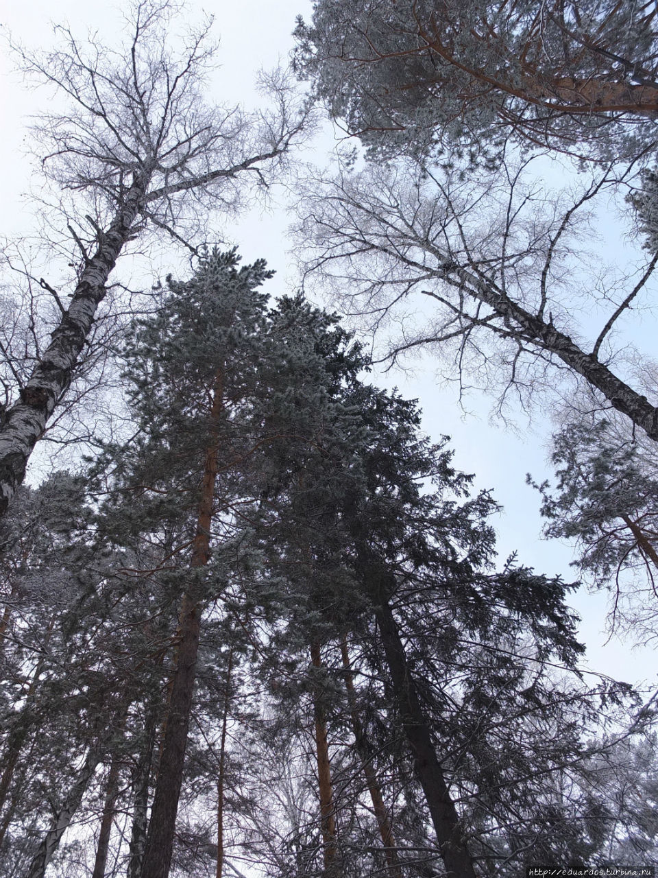 Через горы, реки и долины, к нам добрался Новый год! Красноярск, Россия