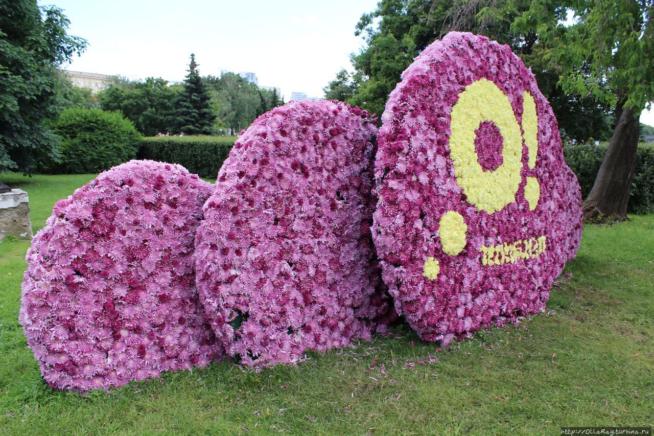 Композиция из живых хризантем в парковом пейзаже Музеона. Москва, Россия