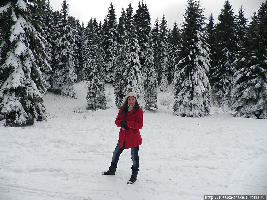 Подводя итоги... Мой 2012