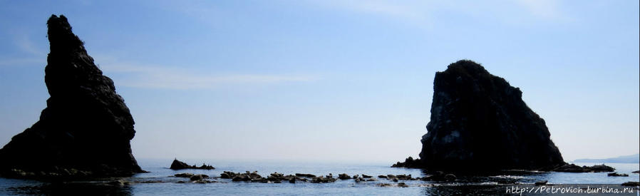 «Поющие» сосны и лазурное море в Морском заповеднике Дальневосточный Морской Биосферный Заповедник, Россия