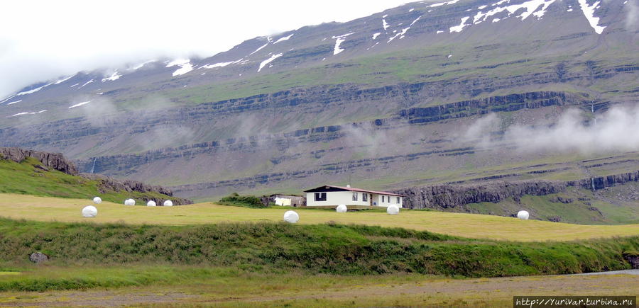 Исландский пейзаж. В июле везде идет заготовка сена Дьюпивогур, Исландия