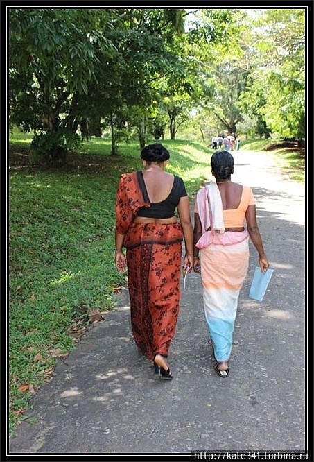 Внеплановое посещение родины чая и улыбок. Канди Канди, Шри-Ланка