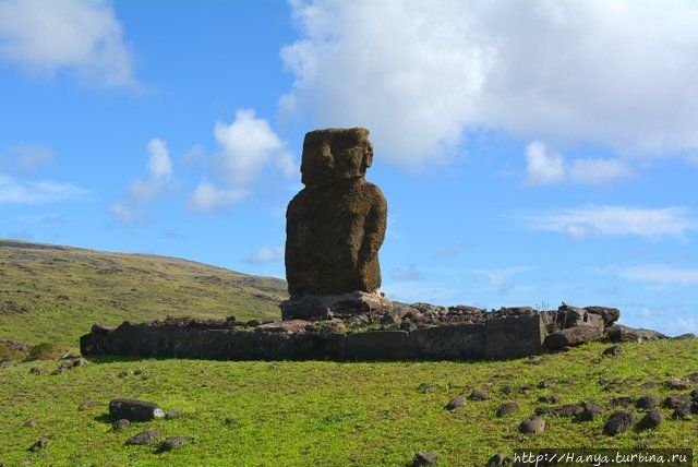 Из интернета