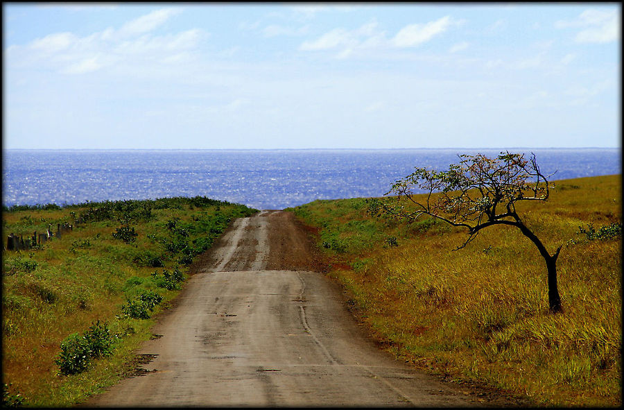Дорога в океан Остров Пасхи, Чили