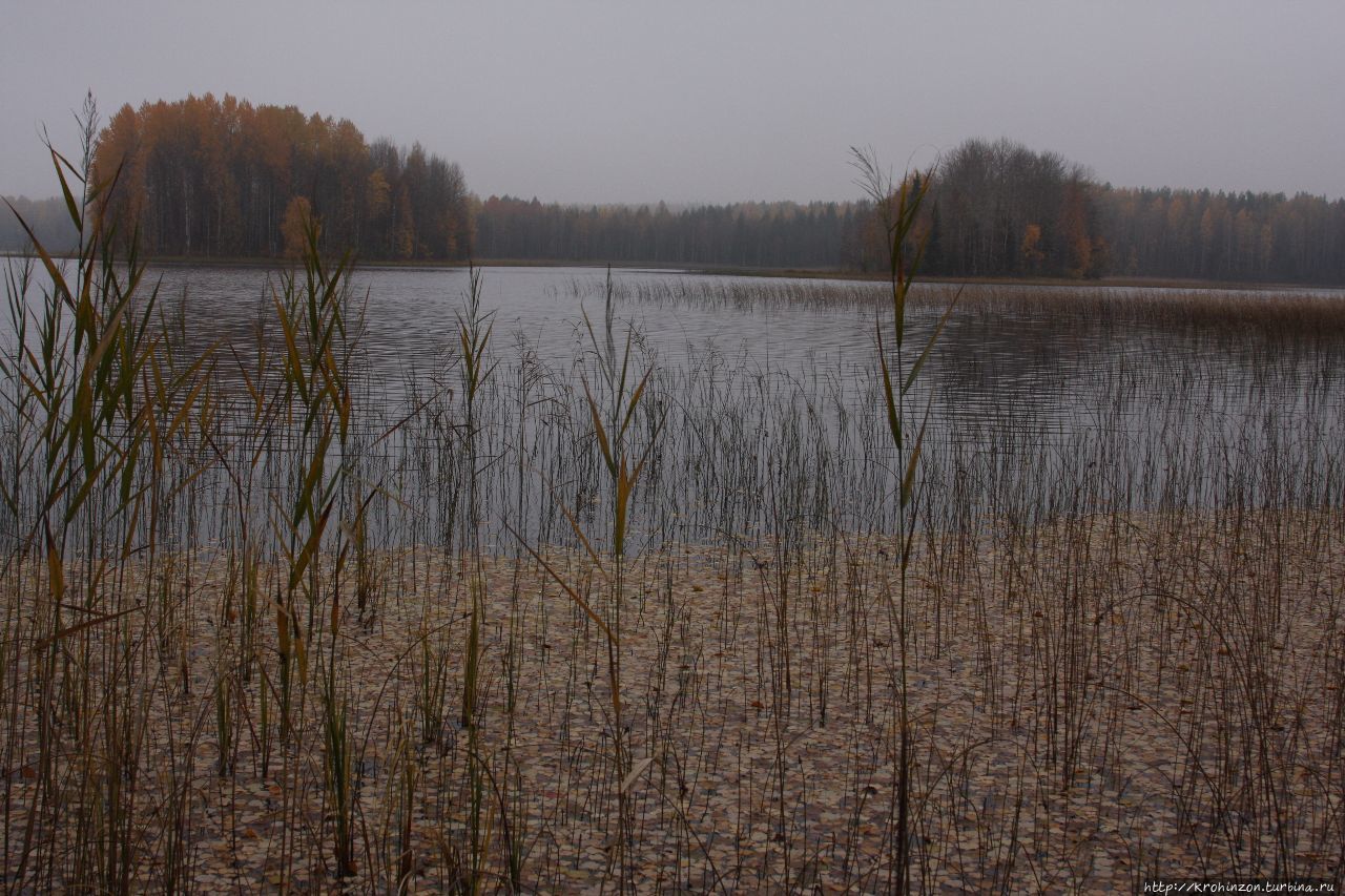 Воспоминания о Каргополье Кенозерский Национальный Парк, Россия