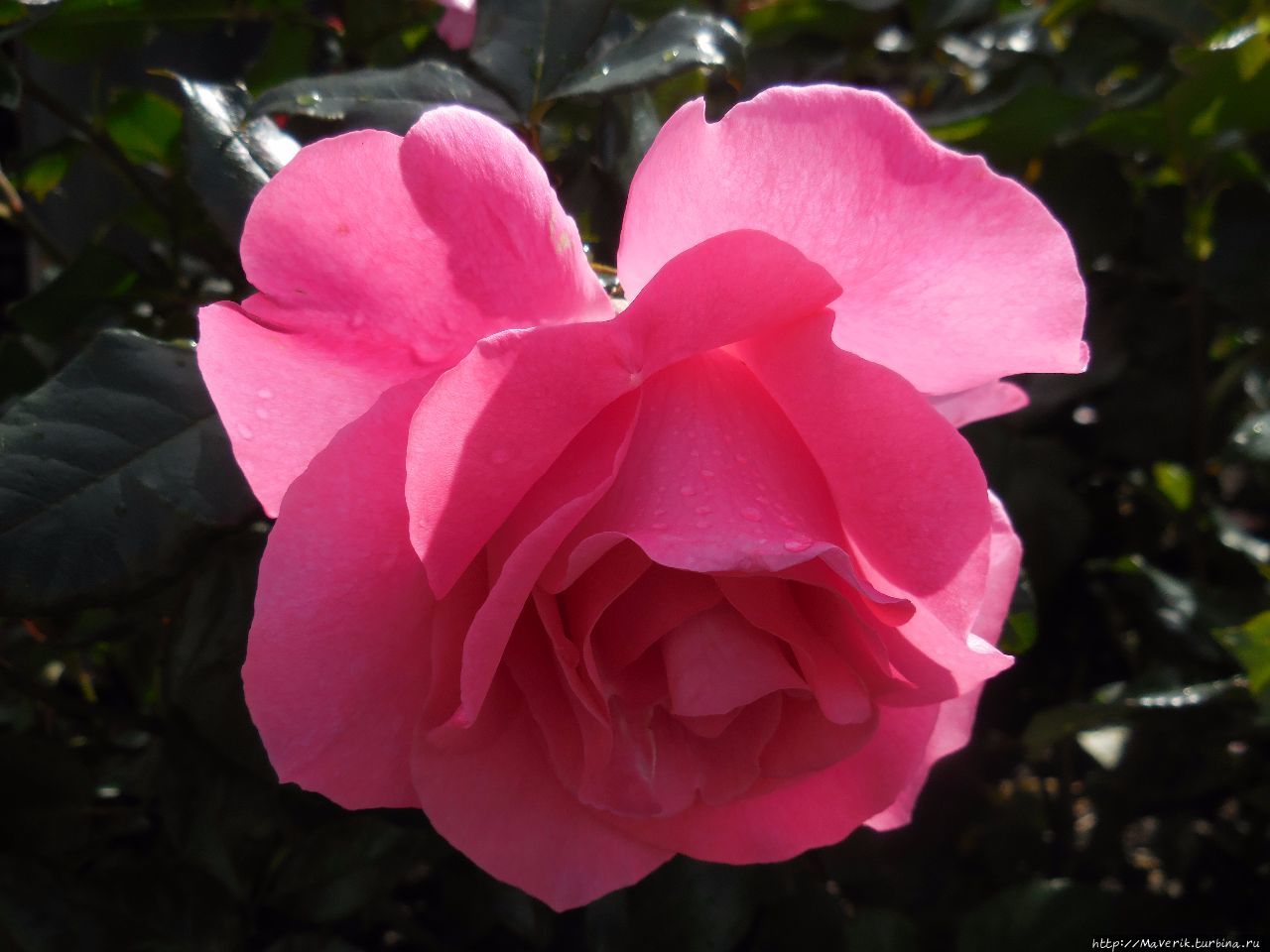 Молде — знакомство с 