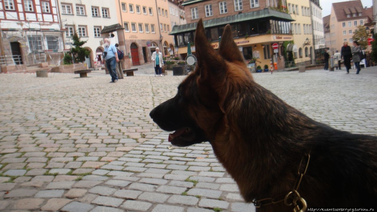 Дом Альбрехта Дюрера Нюрнберг, Германия Дом Альбрехта Дюрера Нюрнберг, Германия