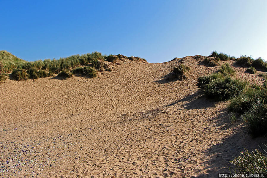 а этот холм я облюбовал для единения с песком (по бывать на дюнах и не набрать в обувь песка — просто ересь какая-то Мерлаф Природный Парк, Великобритания