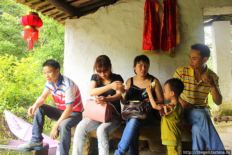 Вдоль утёсов, по полям чайным Уишань, Китай