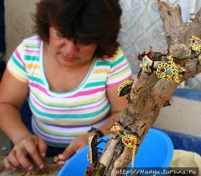 Живые украшения из жуков Мерида, Мексика