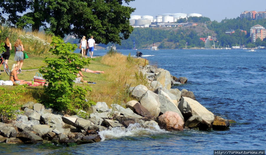 На острове все пляжи каменистые Стокгольм, Швеция
