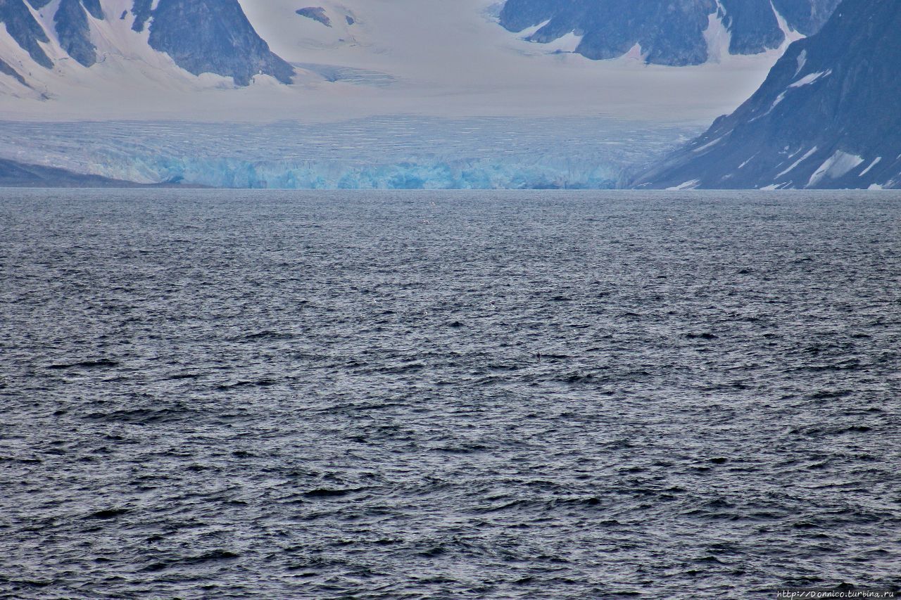 80 градусов северной широты, коктейли, дельфины, киты... Нурвест-Шпицберген Национальный Парк, Свальбард