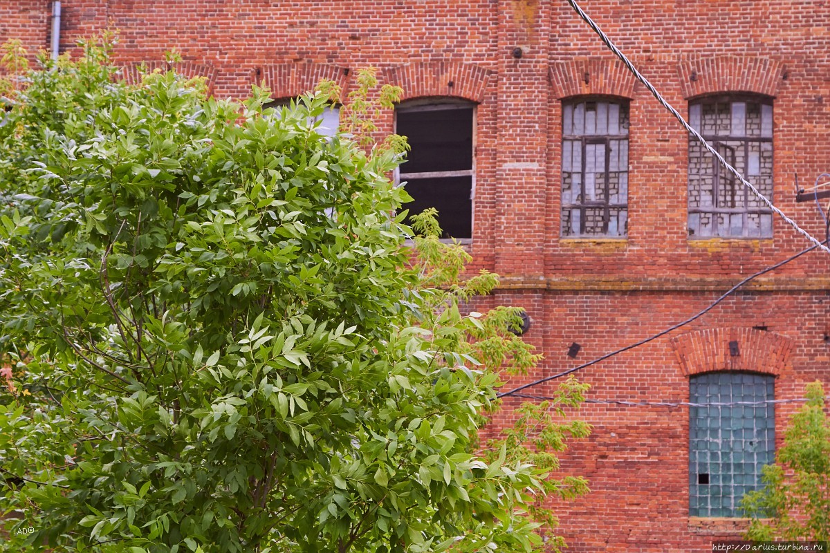 Ростов — День первый Ростов, Россия